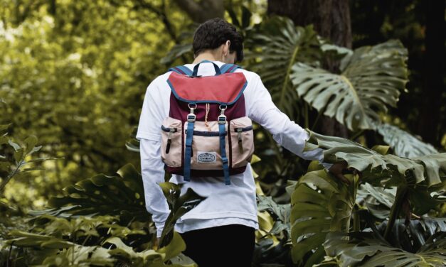 Backpacking Essentials: How to Select the Best Backpack on a Budget this Summer